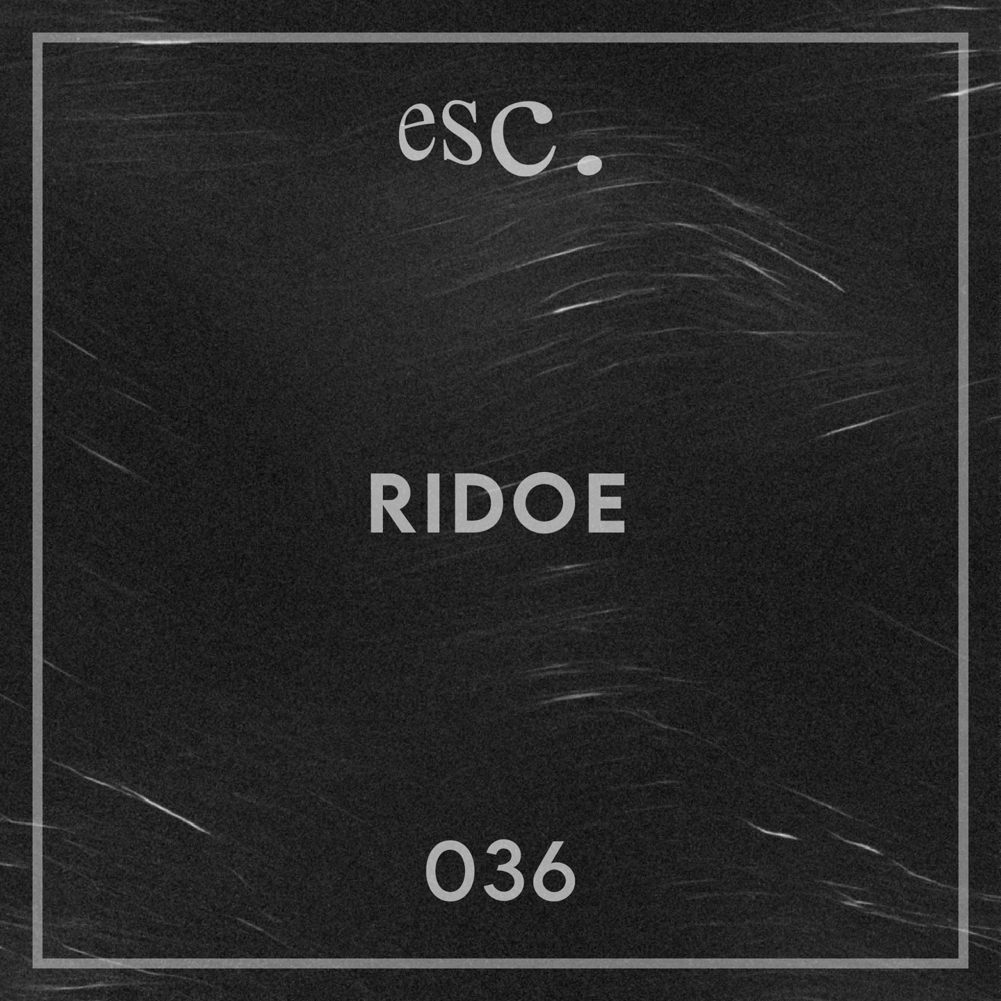 036 | Ridoe