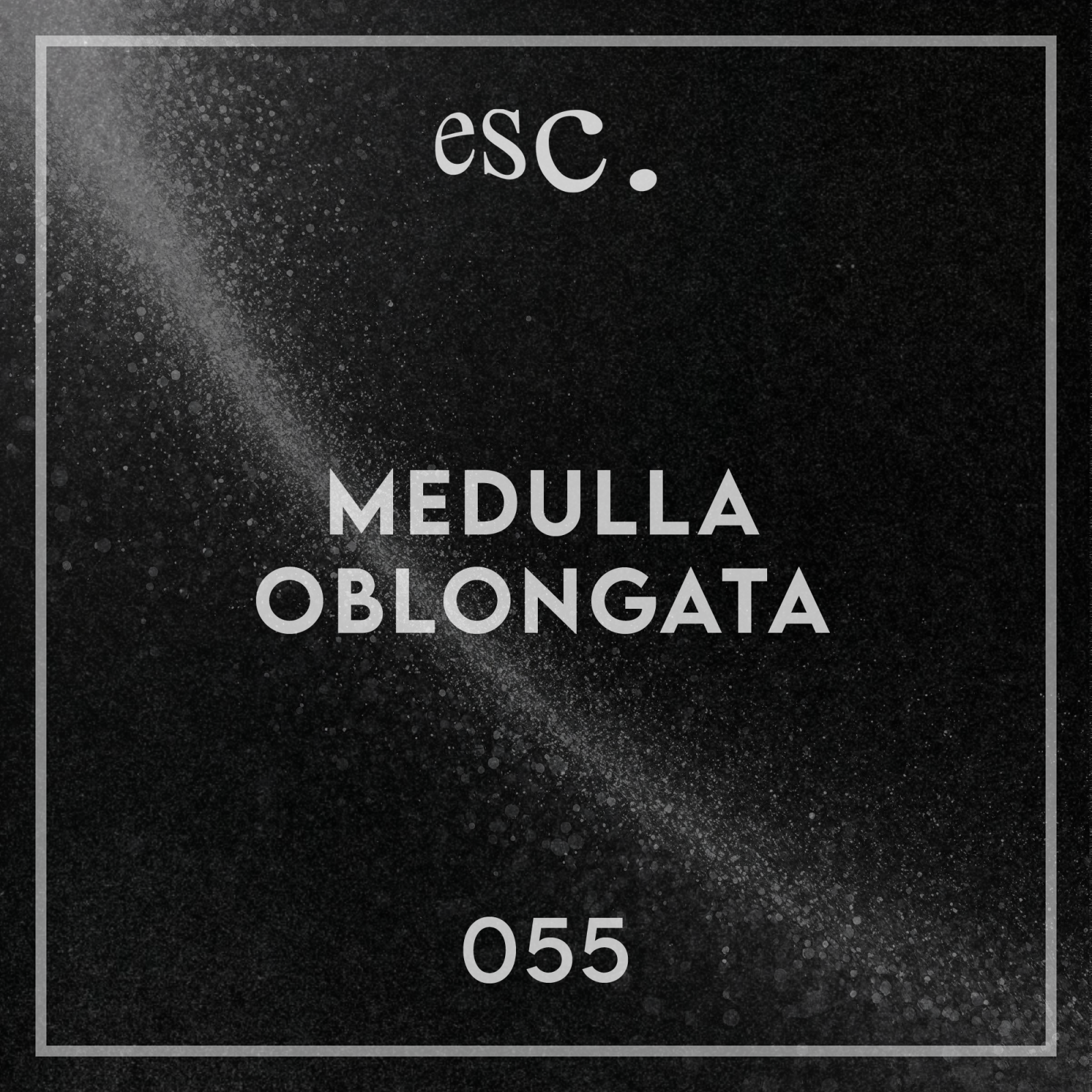 055 | Medulla Oblongata