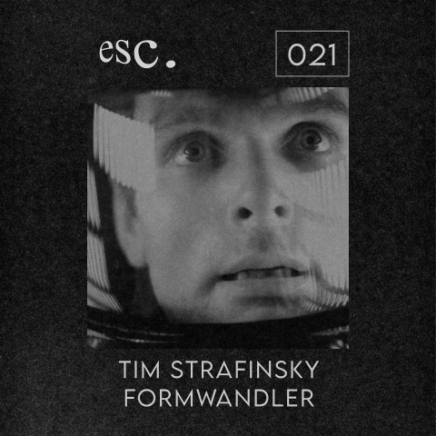 021 | Tim Strafinsky, Formwandler