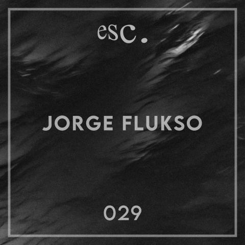 029 | Jorge Flukso