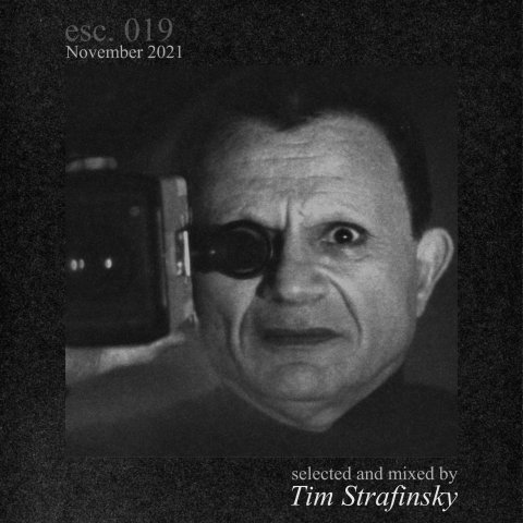 019 | Tim Strafinsky